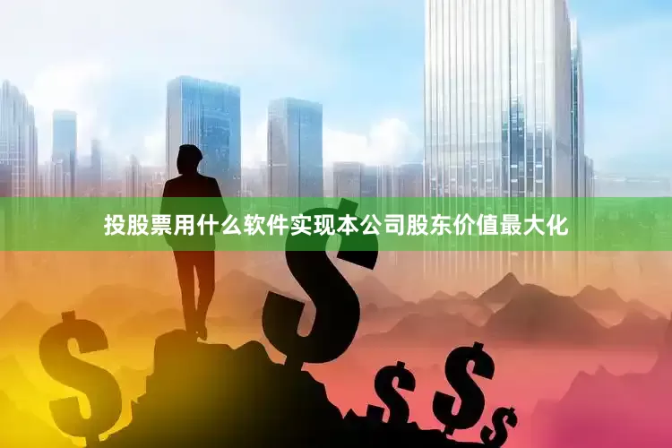 投股票用什么软件实现本公司股东价值最大化