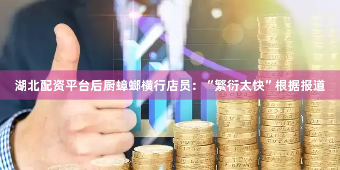 湖北配资平台后厨蟑螂横行店员：“繁衍太快”根据报道