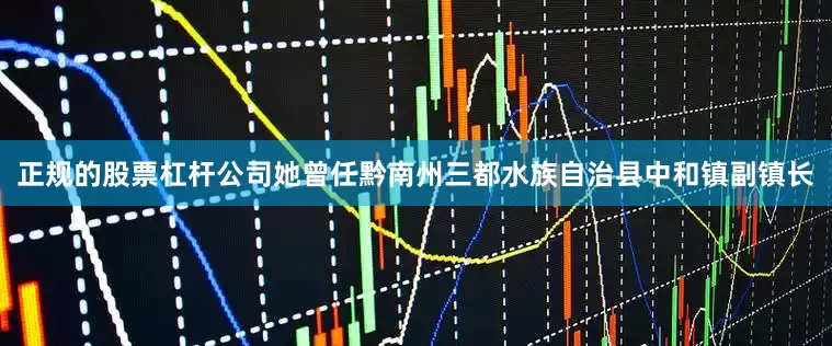 正规的股票杠杆公司她曾任黔南州三都水族自治县中和镇副镇长