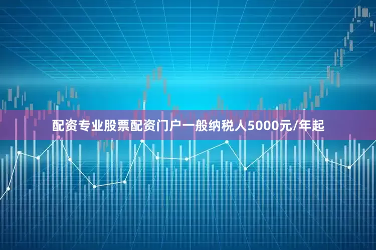配资专业股票配资门户一般纳税人5000元/年起